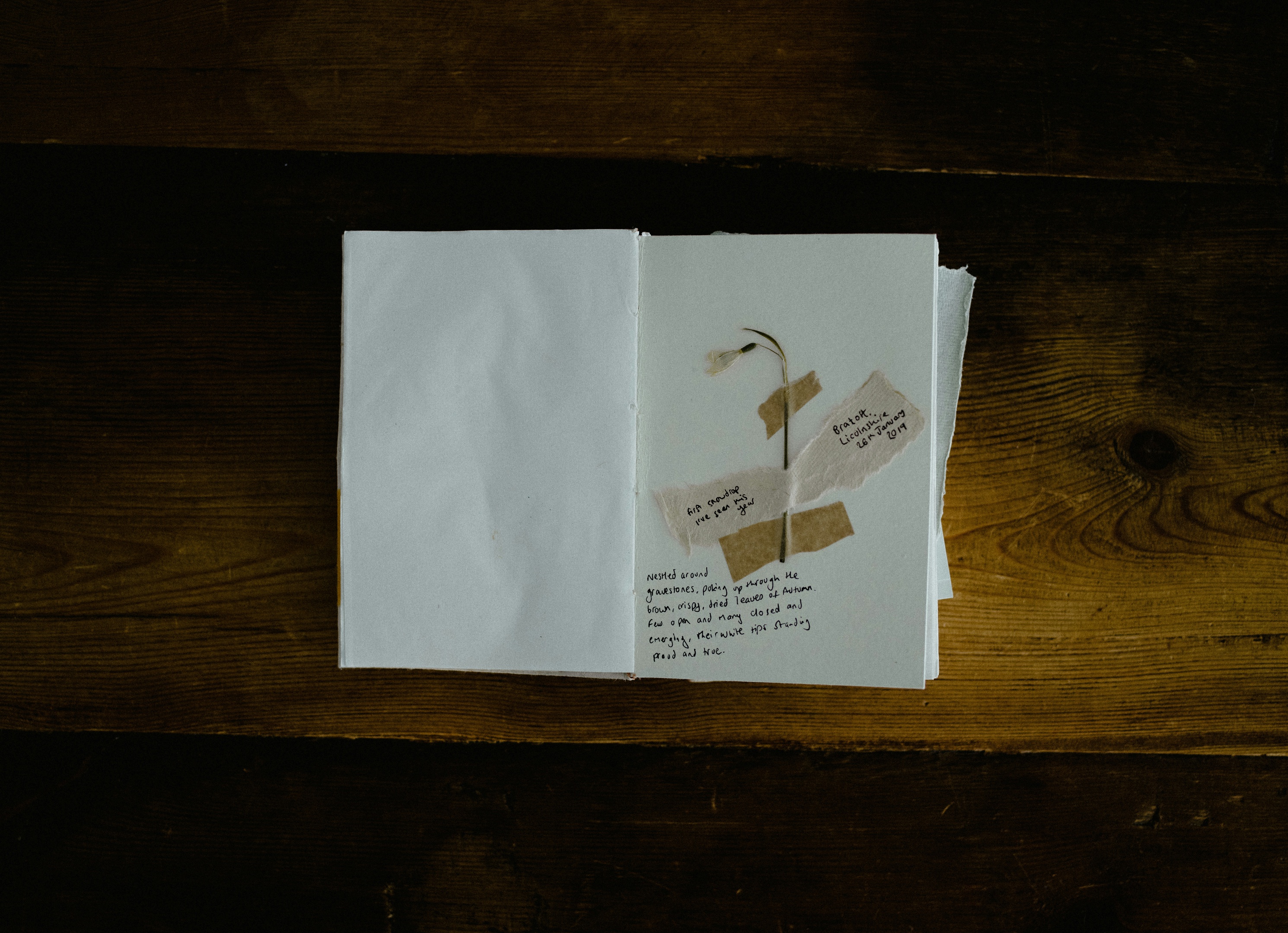 Håndarbeidsuken: ZineHub
